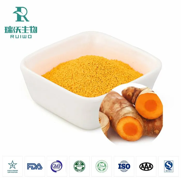 Turmeric Powder Bulk